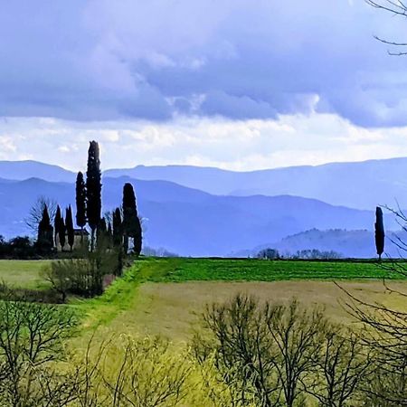 Tuscan Hills Near Florence - Stone House Vicchio Luaran gambar