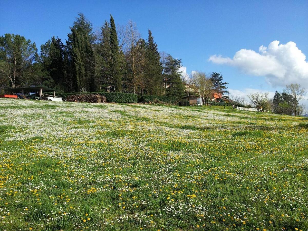 Tuscan Hills Near Florence - Stone House Vicchio Luaran gambar