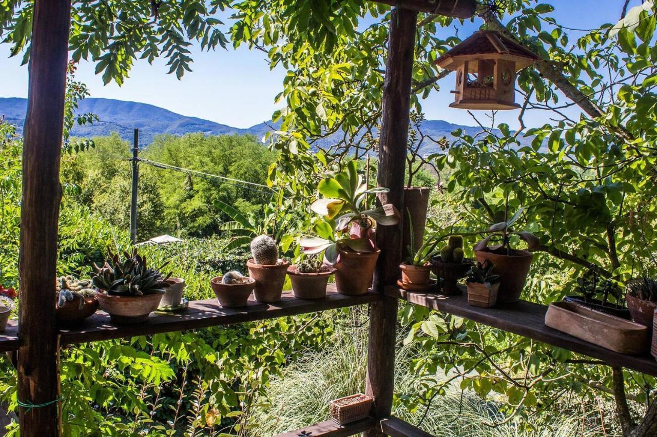Tuscan Hills Near Florence - Stone House Vicchio Luaran gambar