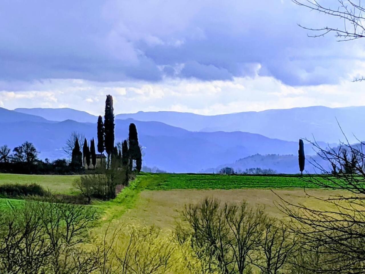 Tuscan Hills Near Florence - Stone House Vicchio Luaran gambar